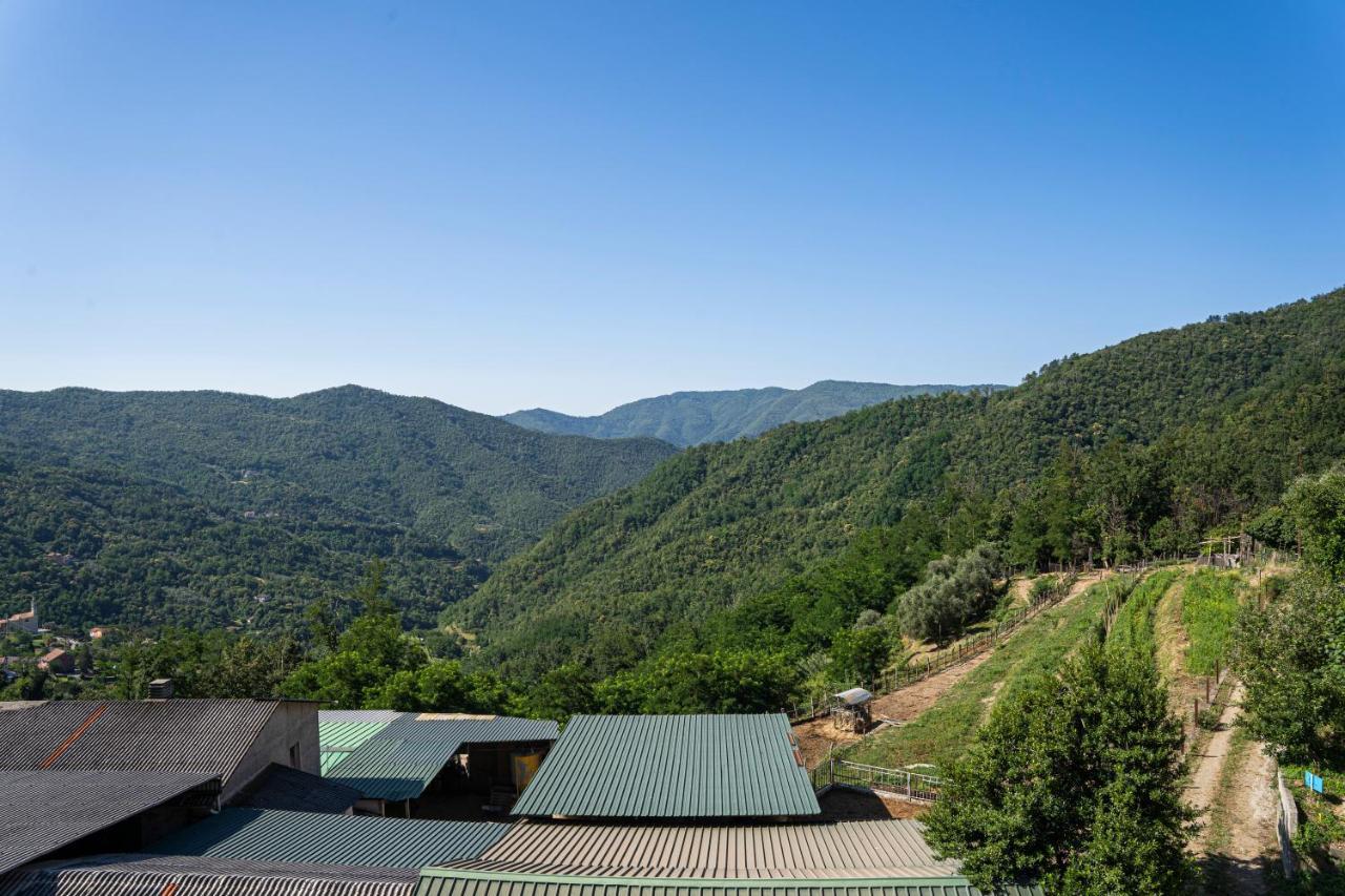 Willa 01234 - Agriturismo La Marpea, Esperienza In Mezzo Alla Natura E Al Cibo Tipico Italiano Terisso Zewnętrze zdjęcie
